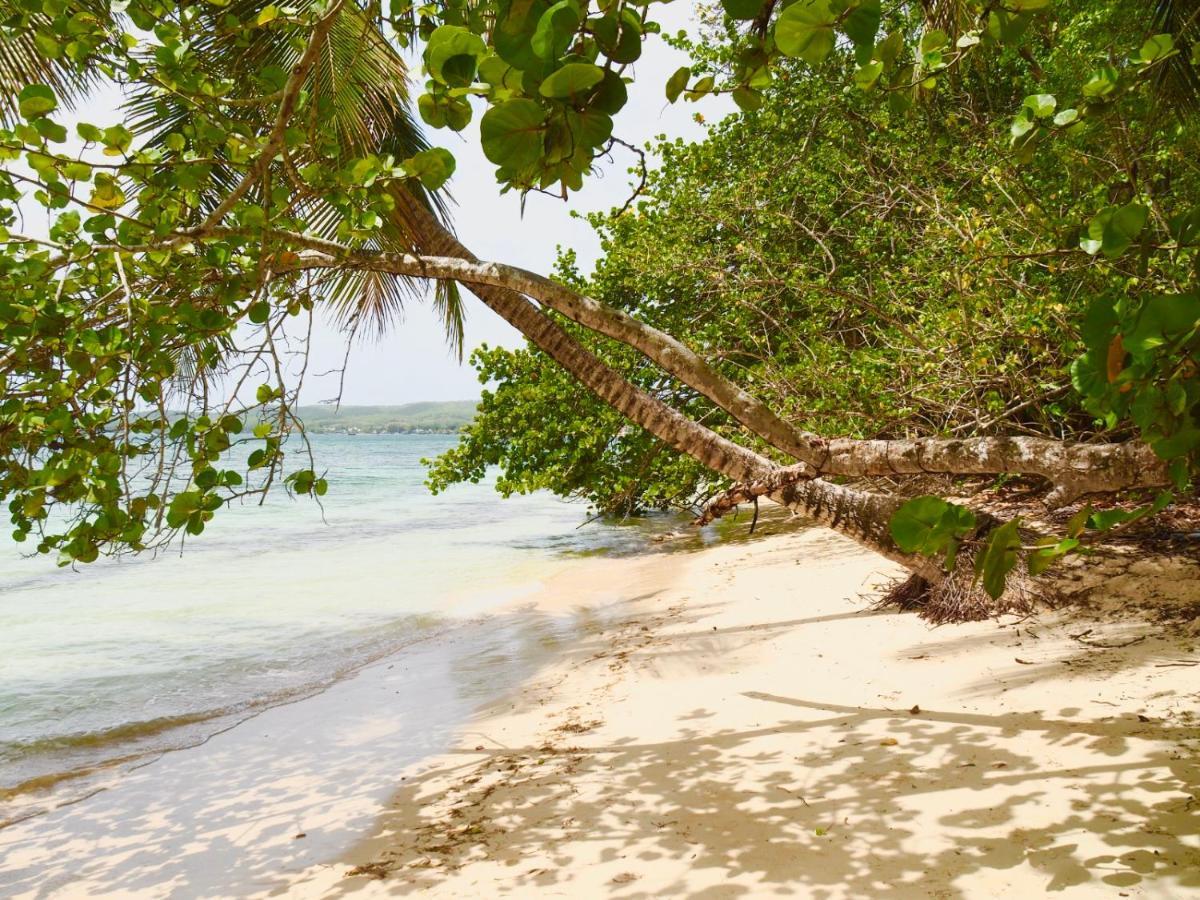 Blue Dream Beach - Residence Plage & Piscine Folle Anse Exterior foto